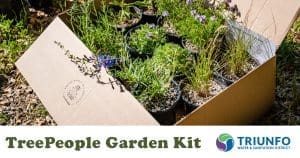 TreePeople Fall Planting Native Garden Kit